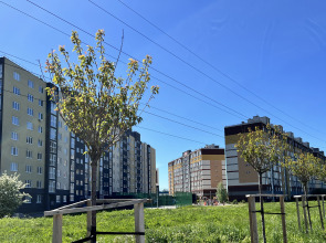 Апартаменты Виктория