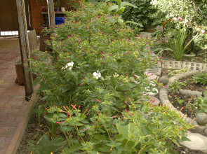 Гостевой дом Дом у Моря