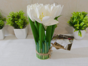 Апартаменты в Самом Центре Рядом с Парком