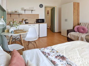 Апартаменты Видовая Студия Покровские