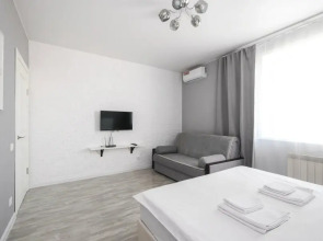 Апартаменты Домант Романова 60/1 (3)