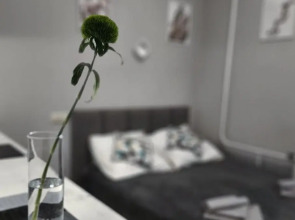 Апартаменты Уютная Студия №1