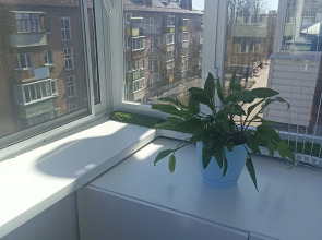 Апартаменты Двушка на Чехова 43