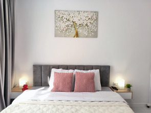 Квартира Костарика Рубин в Звёздном СитиМолл