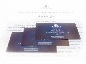 Двухместная мини-студия Авион