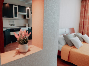 Апартаменты в ярком цвете район Советский