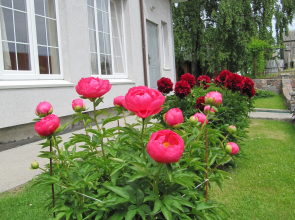 Usadba u Morya Guest House