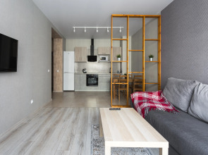 Квартира на пр. Красный 222/2