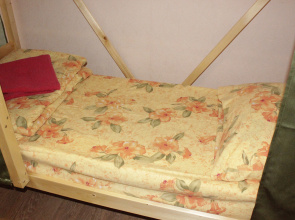 Viktoria Hostel