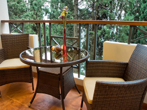 Парк-Отель Актер