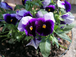 Гостевой дом У Юли