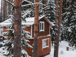 BlackFox Private house