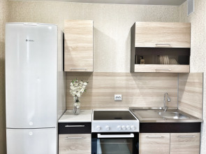 Апартаменты Cozy on Komendantskiy 55