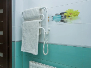 Апартаменты Апарт Трофи мансарда у парка