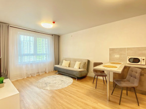 Апартаменты Apart-Comfort Однокомнатные на Лескова 44 ЖК Волга Парк