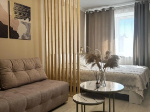 Квартира Уютная