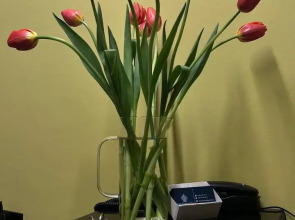 Отель Twelve Inn