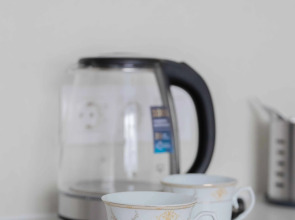 Апартаменты на Грицевца 111-1