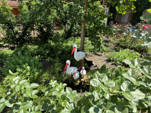 Гостевой Дом Отдых у Александра