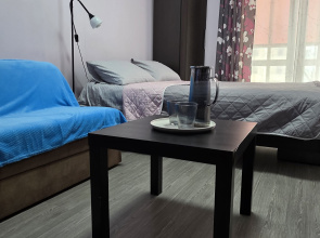 Piterhouse ryadom s Parkom Flat