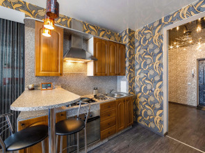 Апартаменты Dayker City Apartments Люкс на Шейнкмана 134а