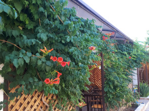 Гостевой Дом Кантри