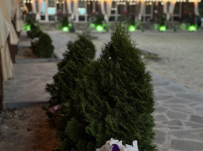 База отдыха Белуга