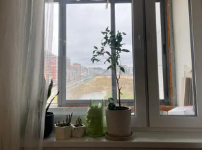 Апартаменты Чаша