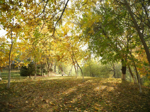 Wellmore Resort Hotel Charvak