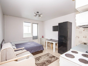 Апартаменты Уютная студия на Виктора уса