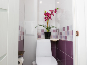 Апартаменты Сибирская 45