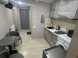 Апартаменты Fenix Tbilisi