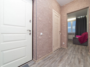 Апартаменты Rest in Salyut