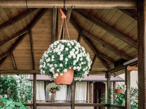 Гостевой дом Прованс