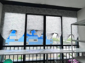 Квартира Тропики в Питере