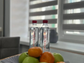 Квартира с шикарным видом на Авачинскую бухту и Вилючинский вулкан