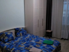 V Tsentre Goroda Flat