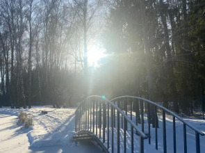 Частный Дом Уютный Домик в Лесу у Пруда