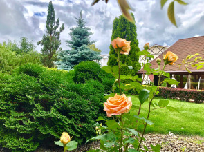 Отель Ю-Питер