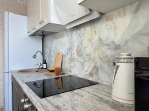 Апартаменты Алмаз Сити Сканди