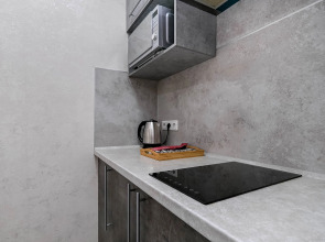 Однокомнатная квартира около жд вокзала на улице Ленина 81