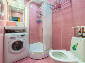 Апартаменты Hanaka 1-я Владимирская 18