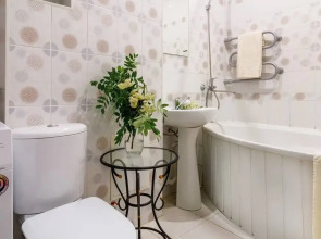 Просторная и светлая квартира в тихом центре