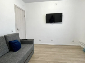 Квартира Viktory Apart