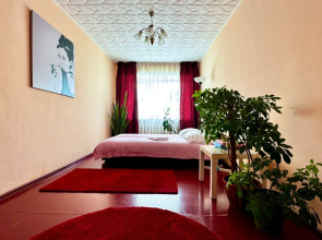 V Tsentre U Parka Izumrudnyij Apartments