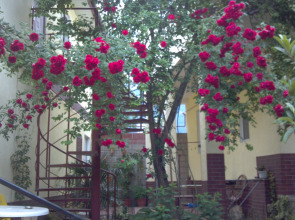 Гостевой Дом Манго