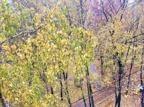 Квартира стильная 4 минуты пешком от метро Проспект Вернадского