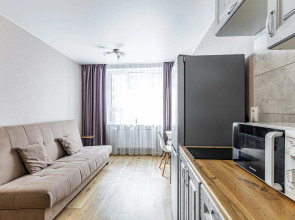 Апартаменты на Готвальда Dream House