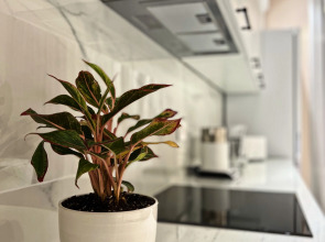 Апартаменты Quiet