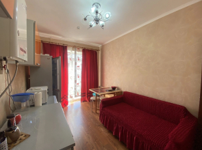 Апартаменты 272 Двухкомнатные Циолковского 13Б